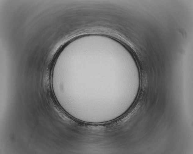 X0000115101498200911101534