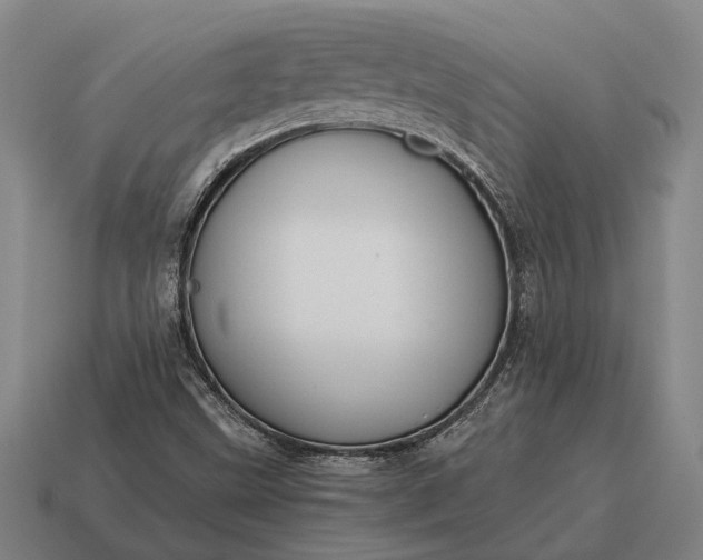 X0000115101499200911101534