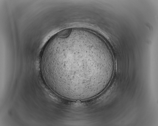 X0000115101501200911101534