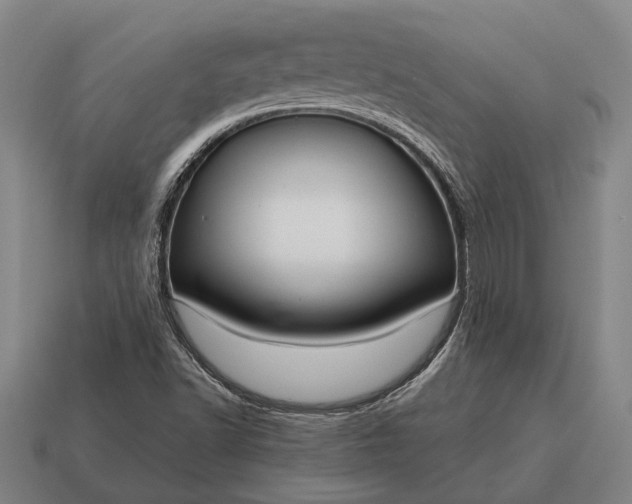 X0000115101502200911101534
