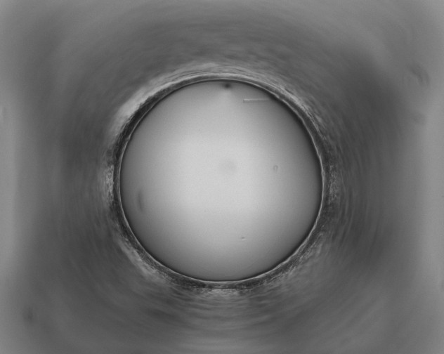 X0000115101503200911101534