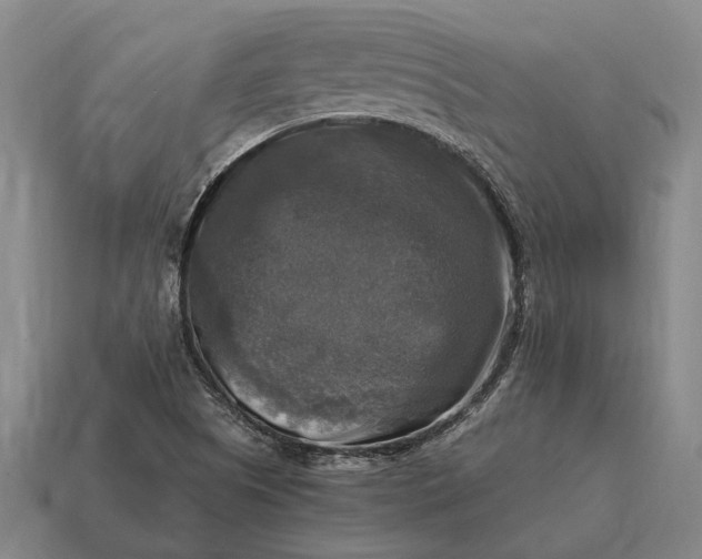 X0000115101505200911101534