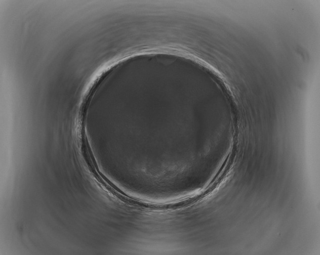 X0000115101506200911101534