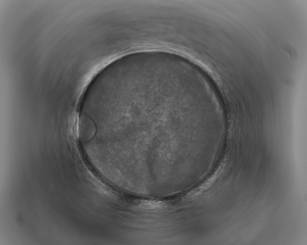 X0000115101509200911101534