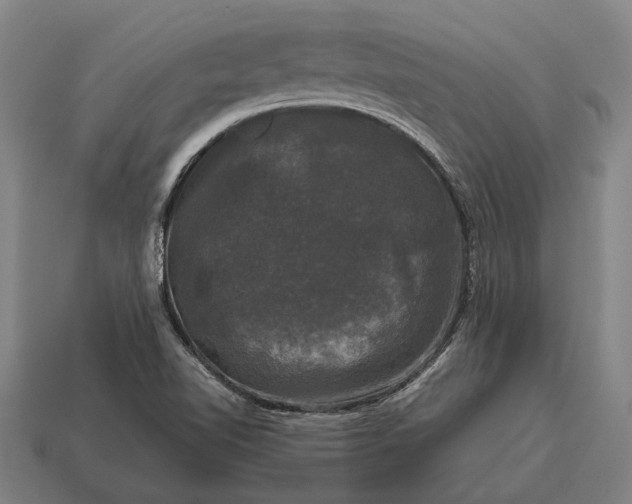X0000115101510200911101534