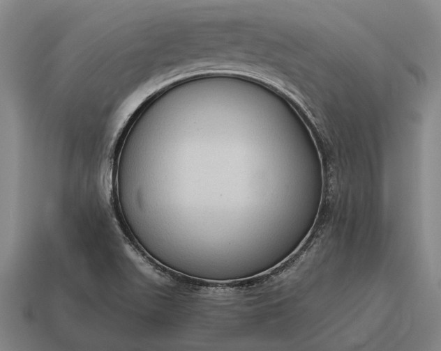 X0000115101511200911101534