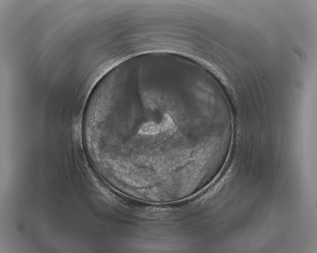 X0000115101513200911101534
