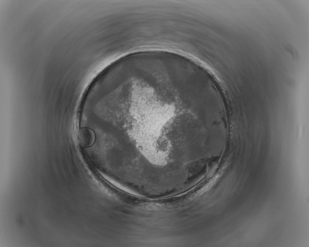 X0000115101517200911101534