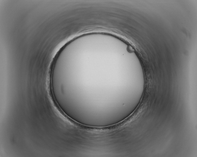 X0000115101518200911101534