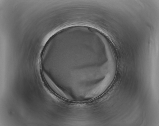 X0000115101519200911101534