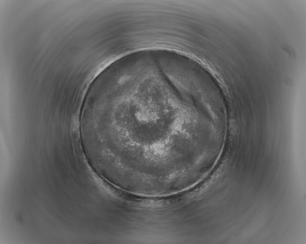 X0000115101521200911101534
