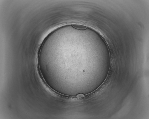 X0000115101523200911101534