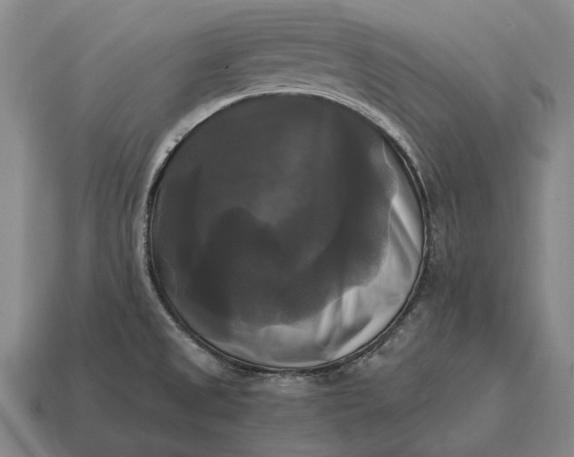 X0000115101525200911101534