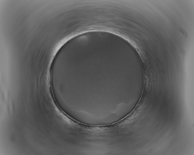 X0000115101527200911101534