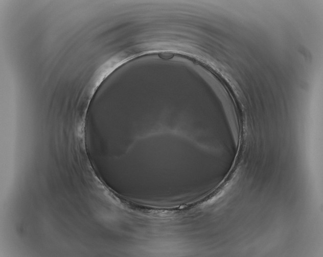 X0000115101529200911101534