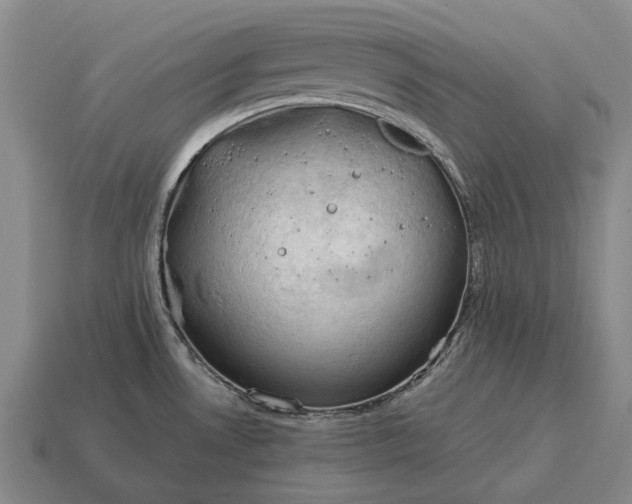 X0000115101530200911101534