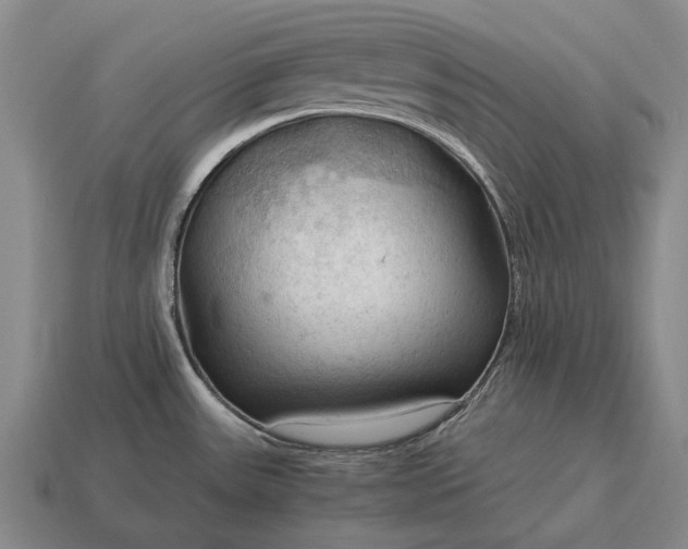 X0000115101531200911101534