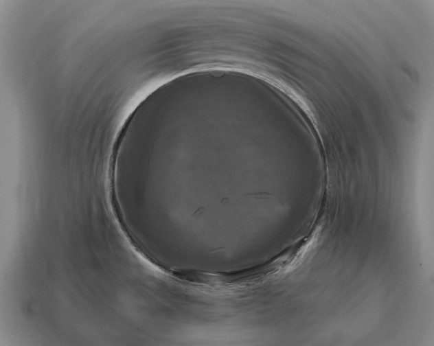 X0000115101533200911101534
