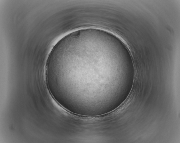 X0000115101535200911101534