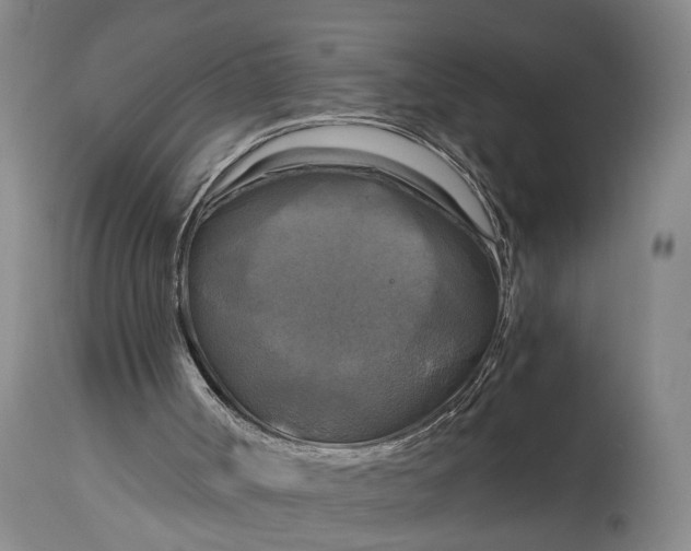 X0000115100002200911171252