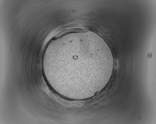 X0000115100004200911171252