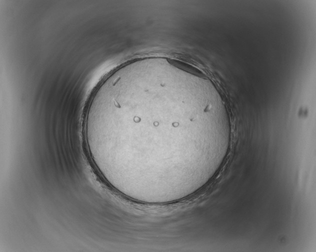 X0000115100006200911171252