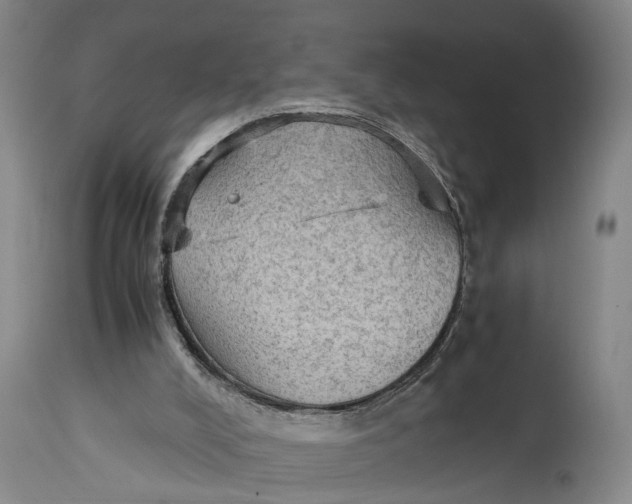 X0000115100008200911171252