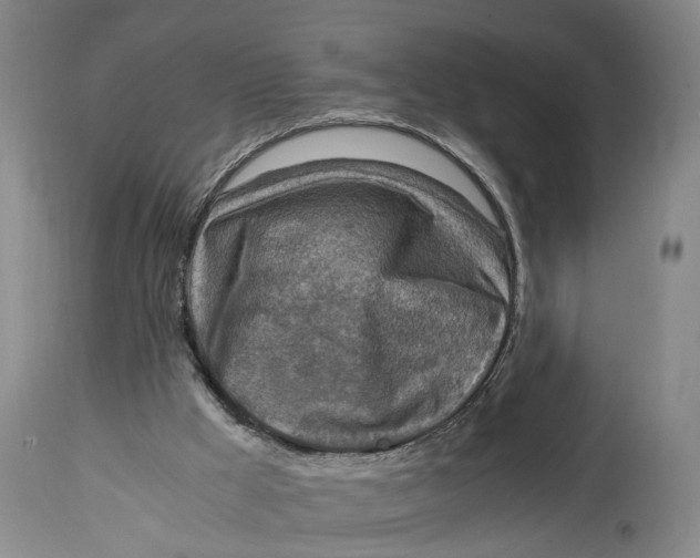 X0000115100009200911171252