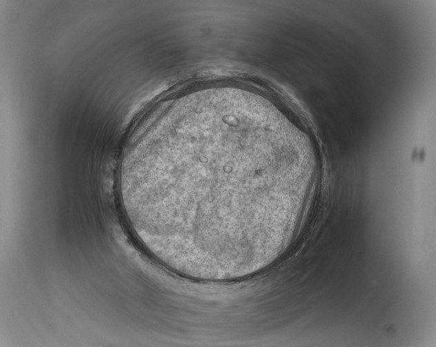 X0000115100010200911171252