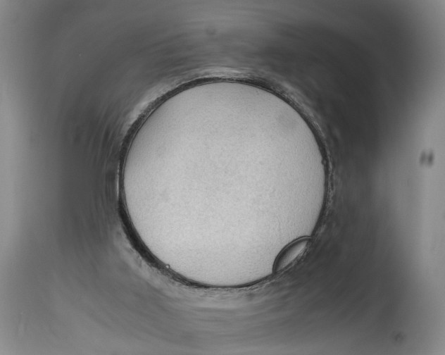 X0000115100011200911171252