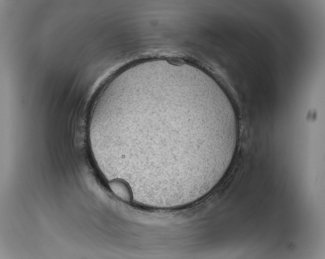 X0000115100012200911171252