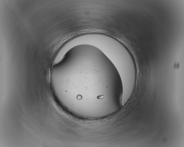 X0000115100013200911171252