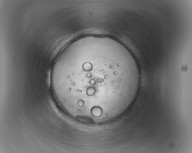 X0000115100014200911171252