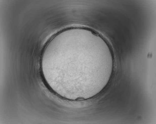 X0000115100015200911171252