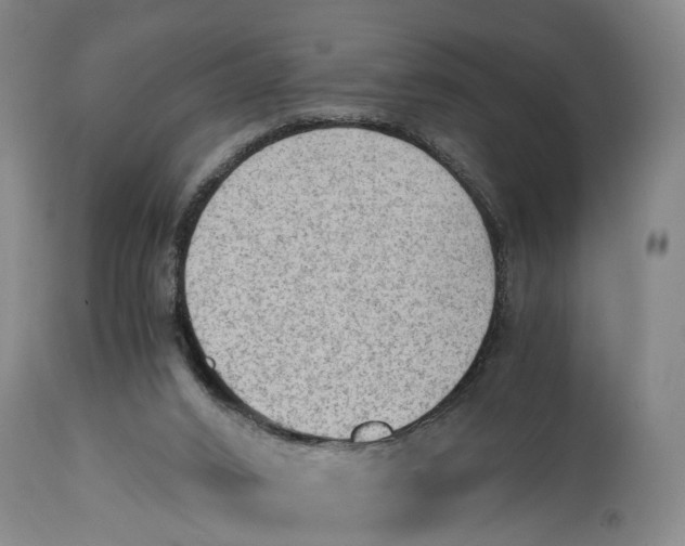 X0000115100016200911171252