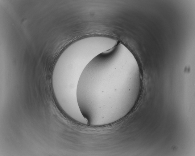 X0000115100017200911171252