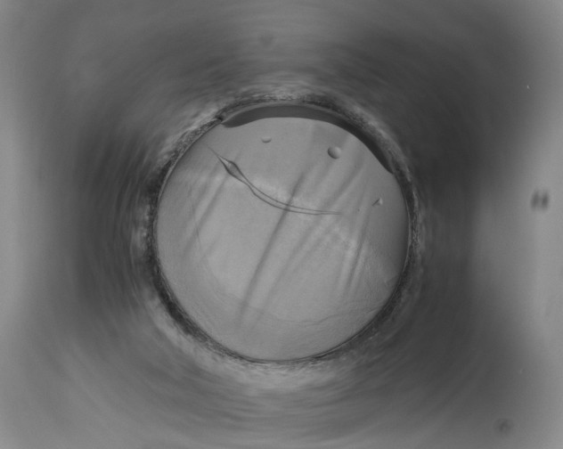 X0000115100018200911171252