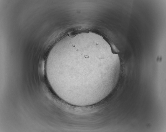 X0000115100022200911171252