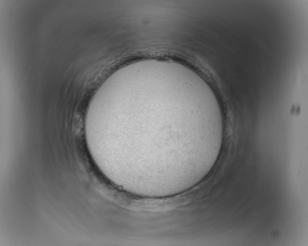 X0000115100025200911171252