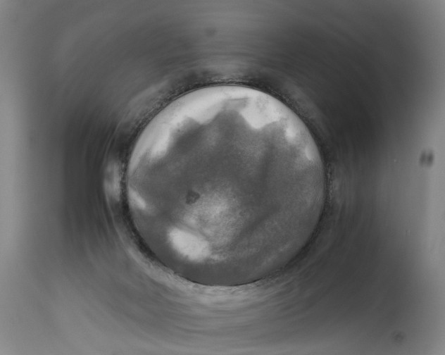 X0000115100026200911171252