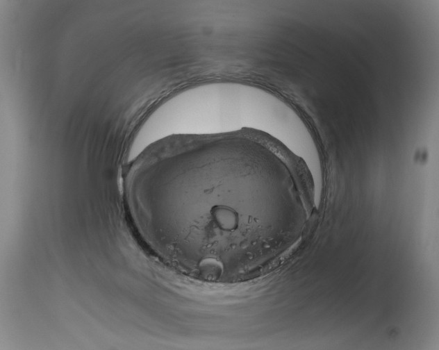 X0000115100027200911171252