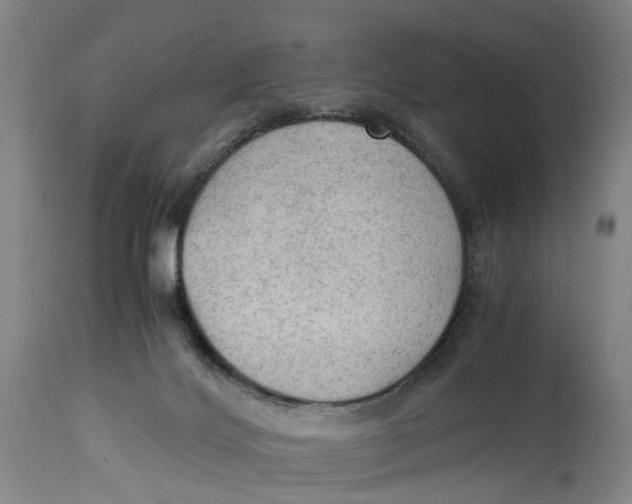 X0000115100028200911171251