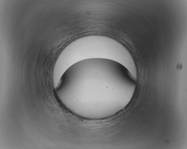 X0000115100029200911171251