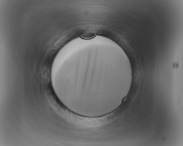 X0000115100031200911171251