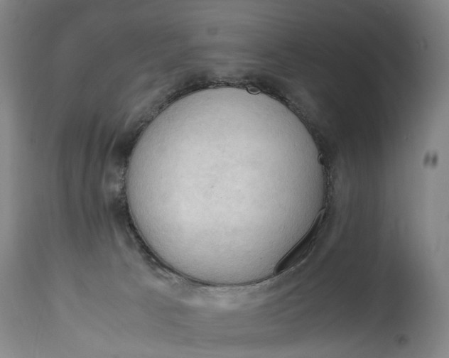 X0000115100033200911171251