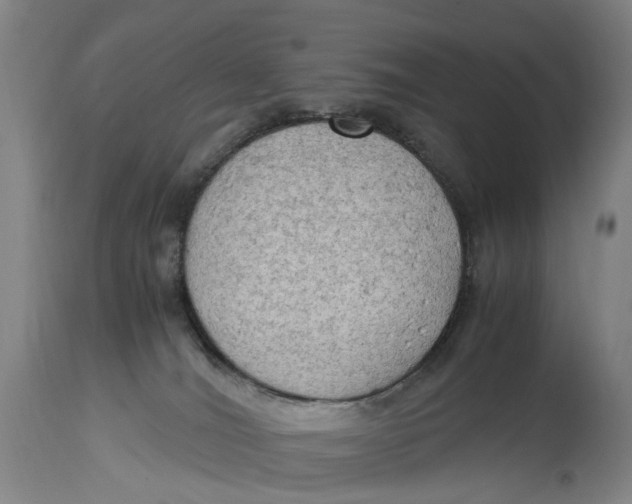 X0000115100036200911171251