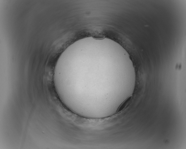 X0000115100037200911171251