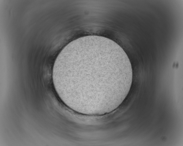 X0000115100040200911171251