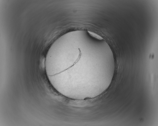 X0000115100041200911171251