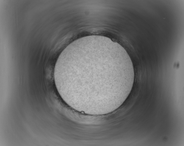 X0000115100044200911171251